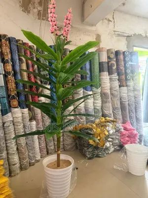 Beautiful Flowers