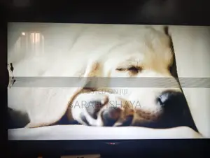 55" Fifty Five Inch Lg Smart Tv