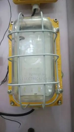 Explosion Proof Wall Light