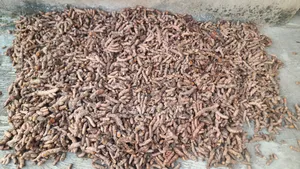 Bag of Turmeric