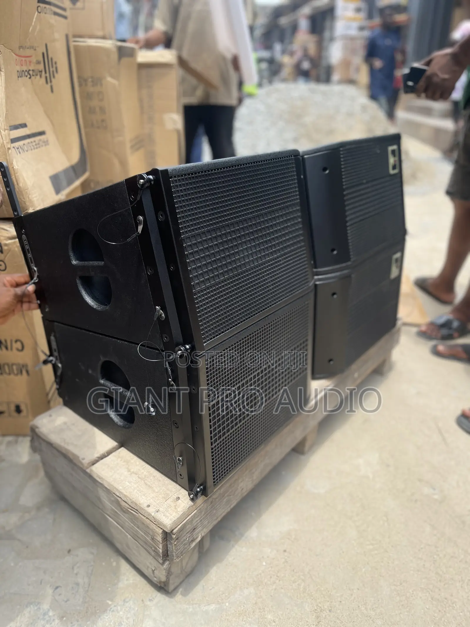 Ariz Sound Professional 12 Inches Line Array System