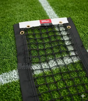 Original Wilson Lawn Tennis Net