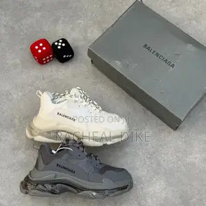 Luxury Balenciaga Shoe