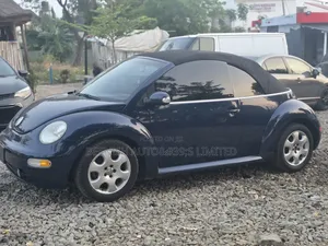 Volkswagen Beetle 2005 Blue