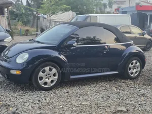 Volkswagen Beetle 2005 Blue