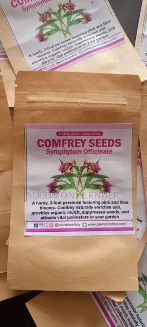 Comfrey Seeds