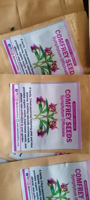 Comfrey Seeds
