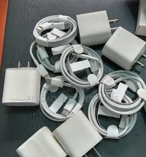 Apple Type C to C Charger
