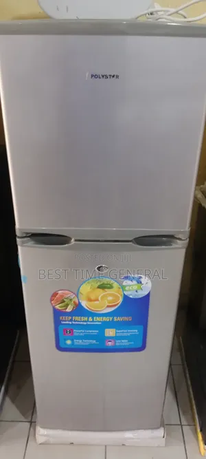Exclusive High Quality Portable Stand Freezer and Fridge Double Door