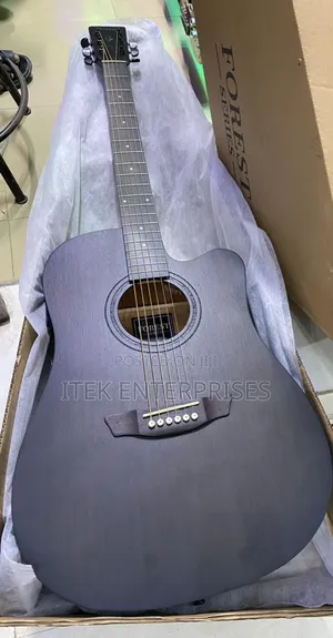 Strinberg Acoustic-Electric Guitar