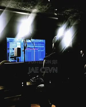 Music Producer - Recording, Mixing And Mastering