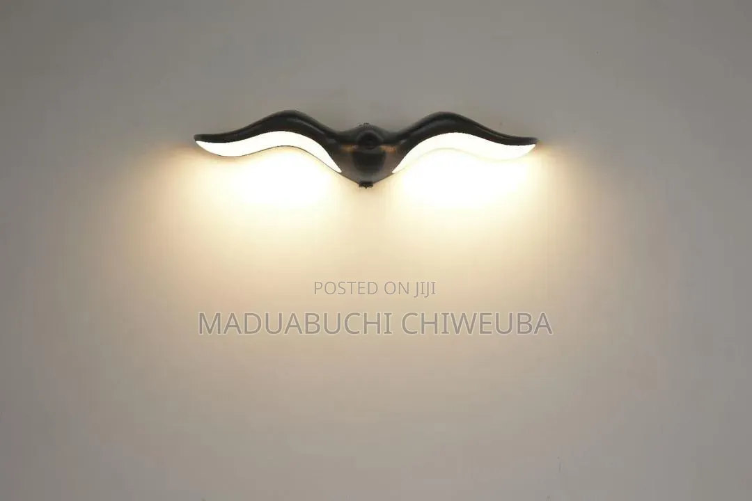 Led Outdoor Light