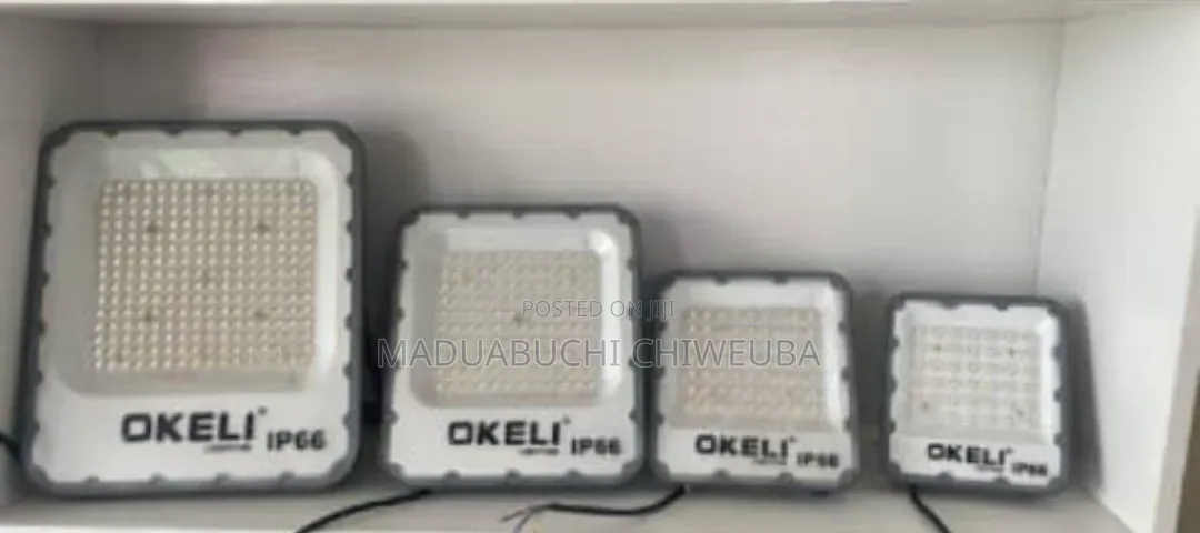 100w Electric Flood Light