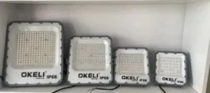 100w Electric Flood Light