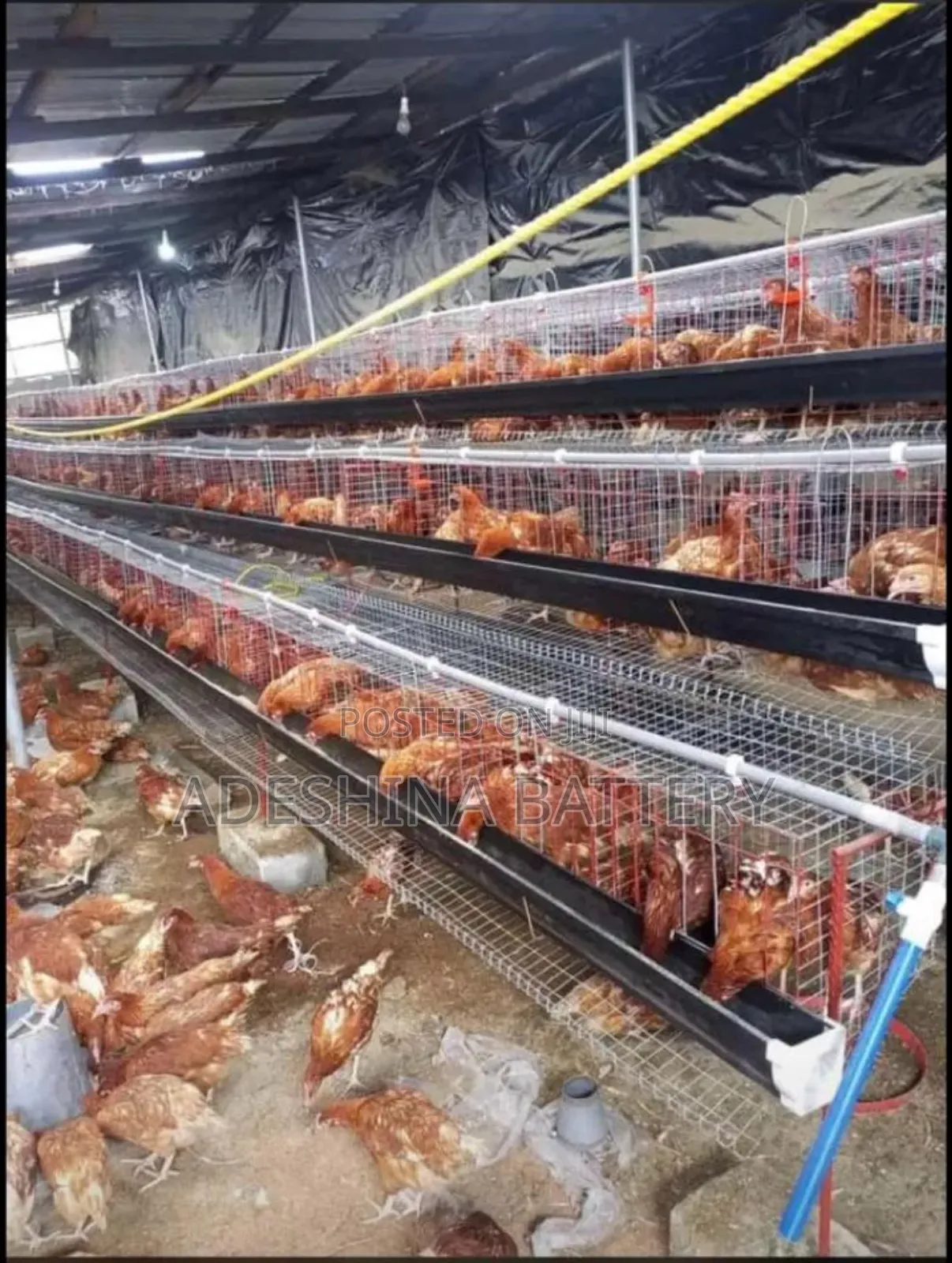 Recent Install Cages