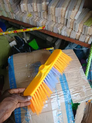 Imported Sweeping Brushes