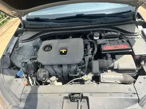 Hyundai Elantra ECO 2020 Gray
