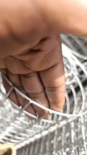 Stainless Steel Mesh