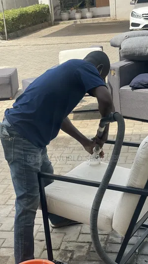 Abuja Professional Cleaning Company
