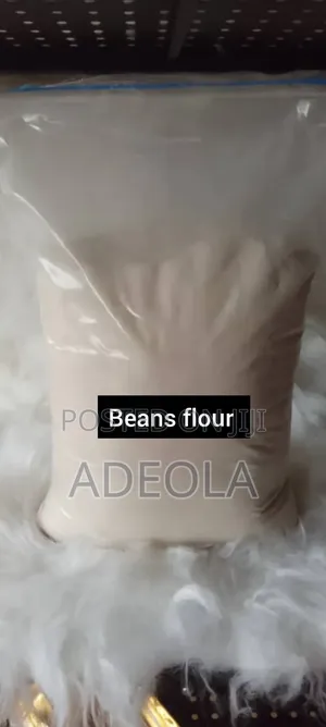 Beans Flour