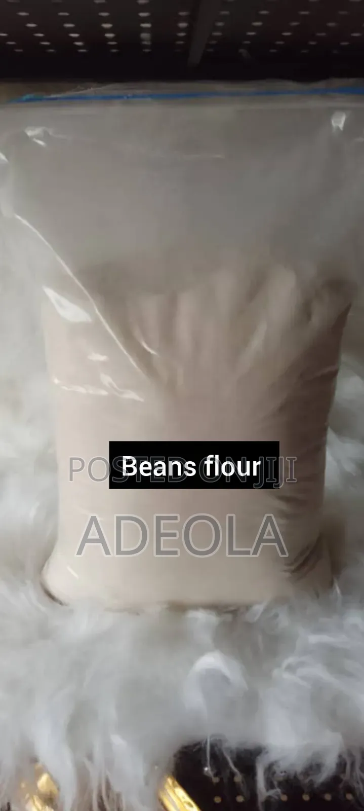 Beans Flour