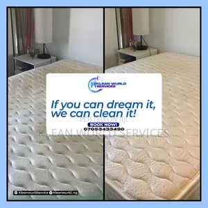 Chair, Bed and Carpet Cleaning