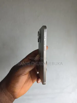 Apple iPhone 15 Pro Max 256 GB