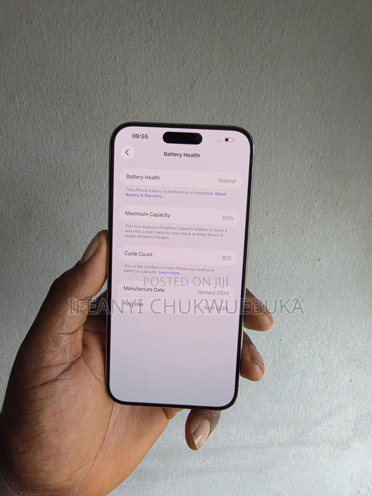 Apple iPhone 15 Pro Max 256 GB