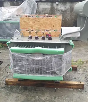 Top-Tier Astor 300kva 11kv Electrical Transformer