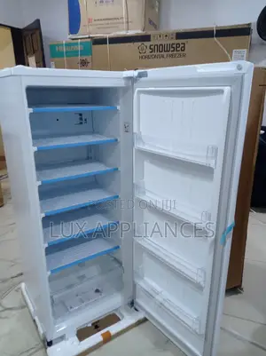 Lg Upright Freezer With Lock Key 168l