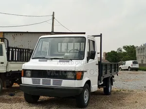 Mercedes Benz Packers 310d