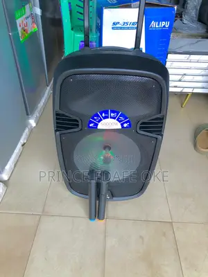 Ailipu Rechargeable Pa System