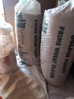 Garri Ijebu