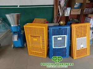 High-Quality Birds Transfer Create