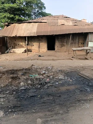 S. A. Adewale Co