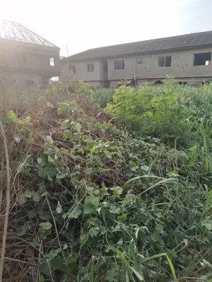 Full Plot of Land at Mercy Land Estate Baruwa,