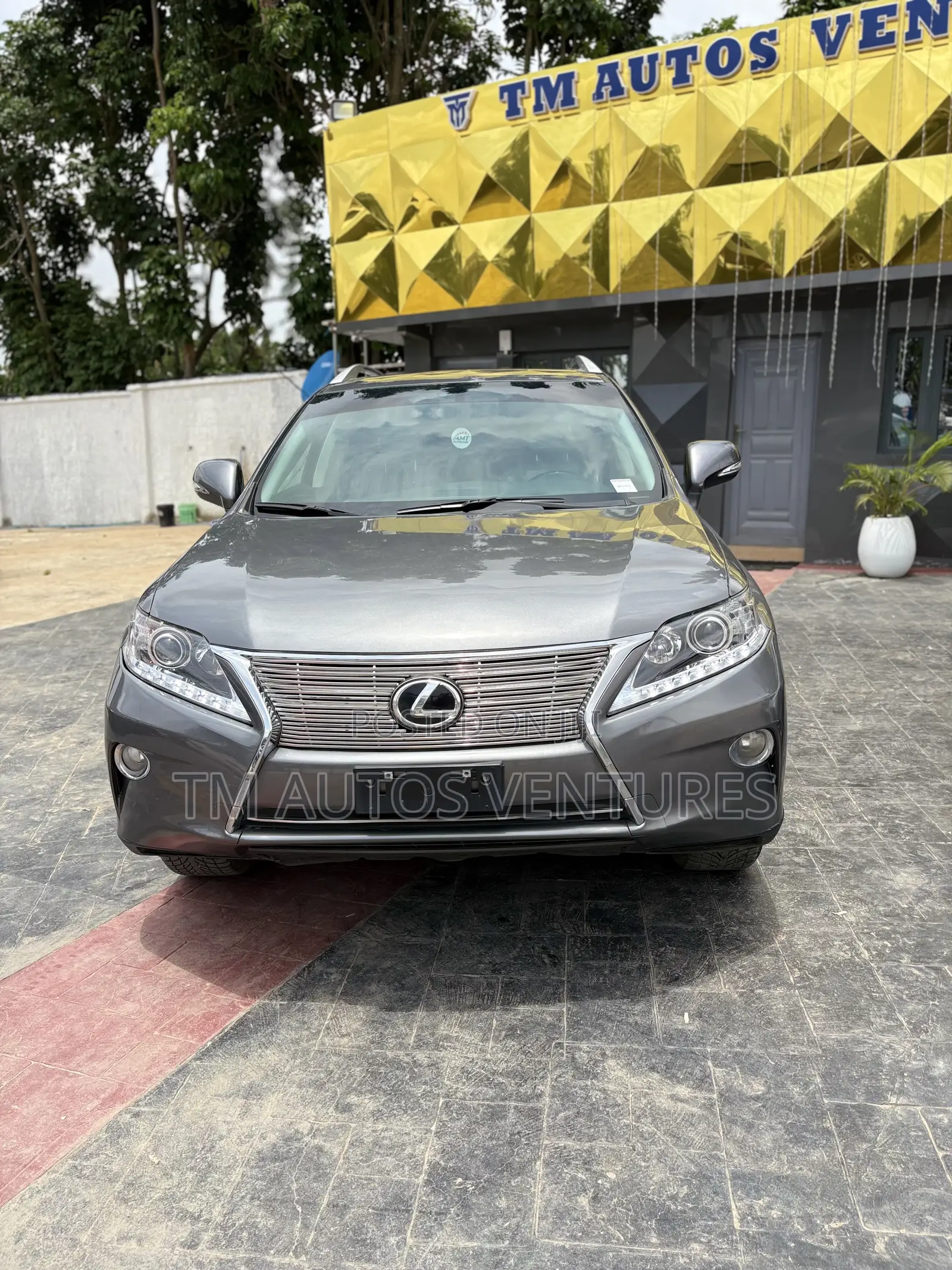 Lexus RX 2013 Gray
