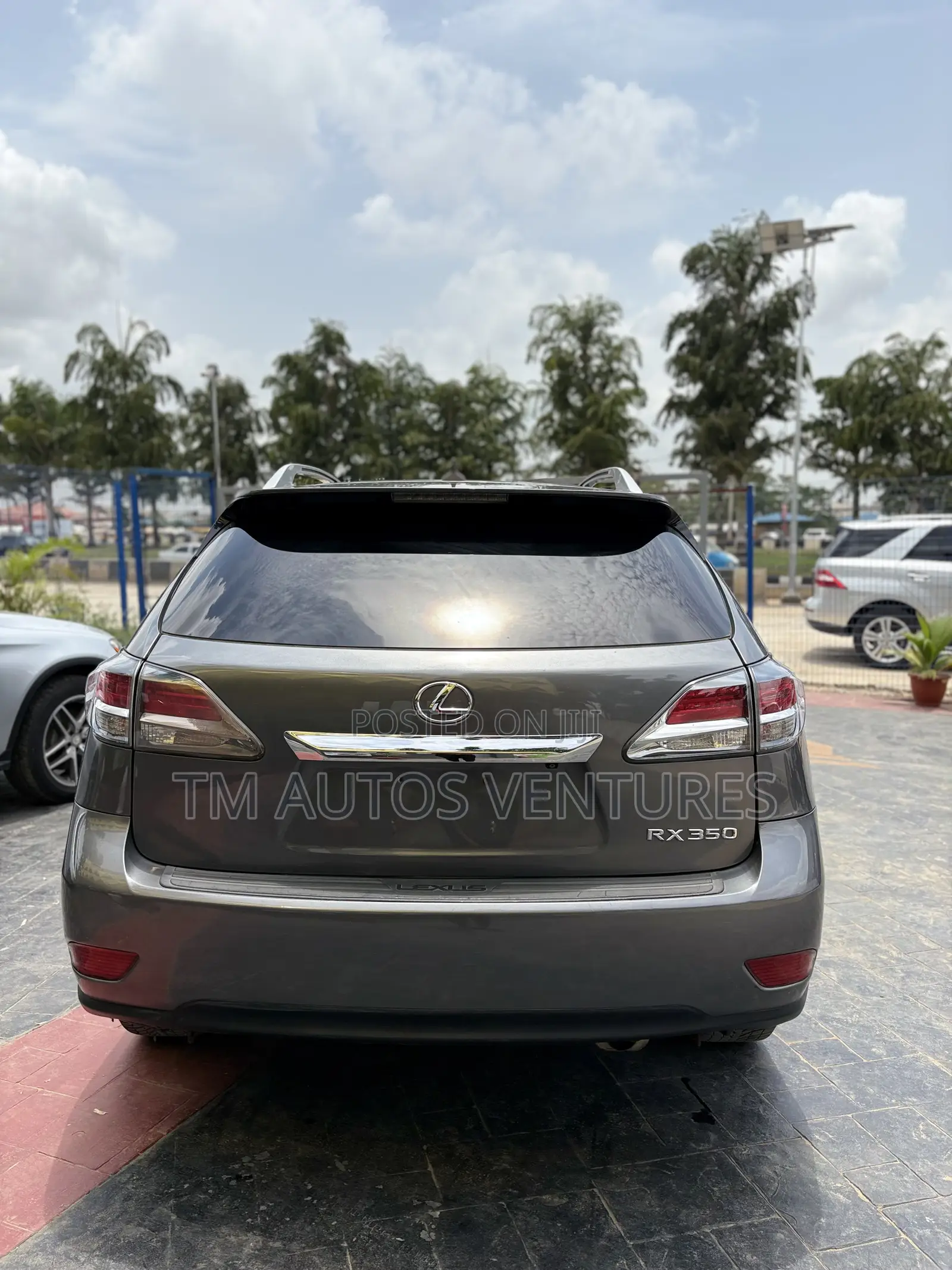 Lexus RX 2013 Gray