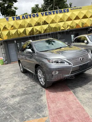 Lexus RX 2013 Gray