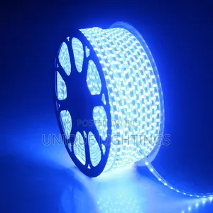 Warm White and Blue Stripe/Rope Light