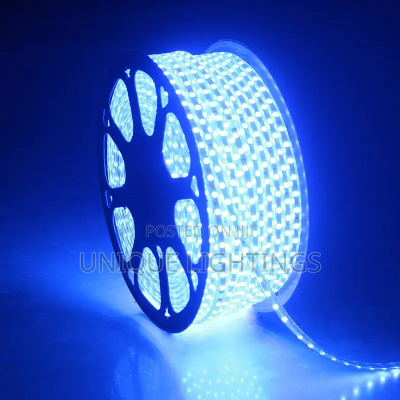 Warm White and Blue Stripe/Rope Light