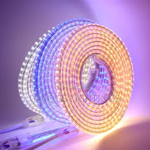 Warm White and Blue Stripe/Rope Light