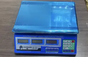Electronic Pricing Scale