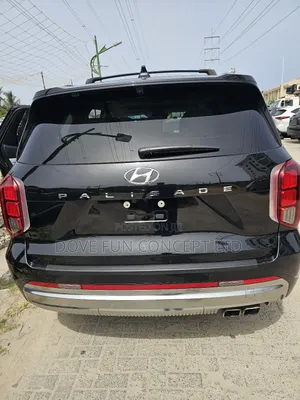 Hyundai Palisade 2023 Black