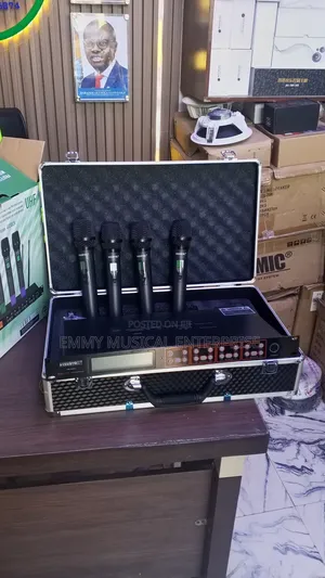 4 in 1 Wireless Microphone