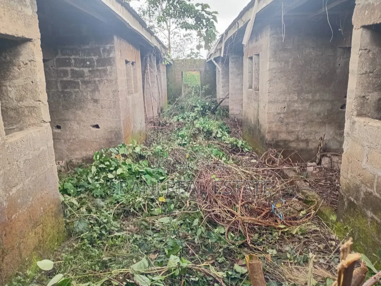 Studio Apartment In Ejigbo / Ejigbo For Sale
