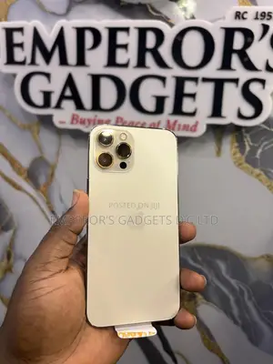Apple iPhone 12 Pro Max 256 GB Rose Gold
