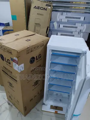 Lg Gn-304sqbr Vertical Freezer – 165l Net Capacity