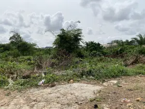 A Full Plot of Swampy Land