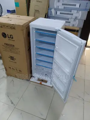 Lg Vertical Freezer Gn-304sqbr – Reliable Freezing Power